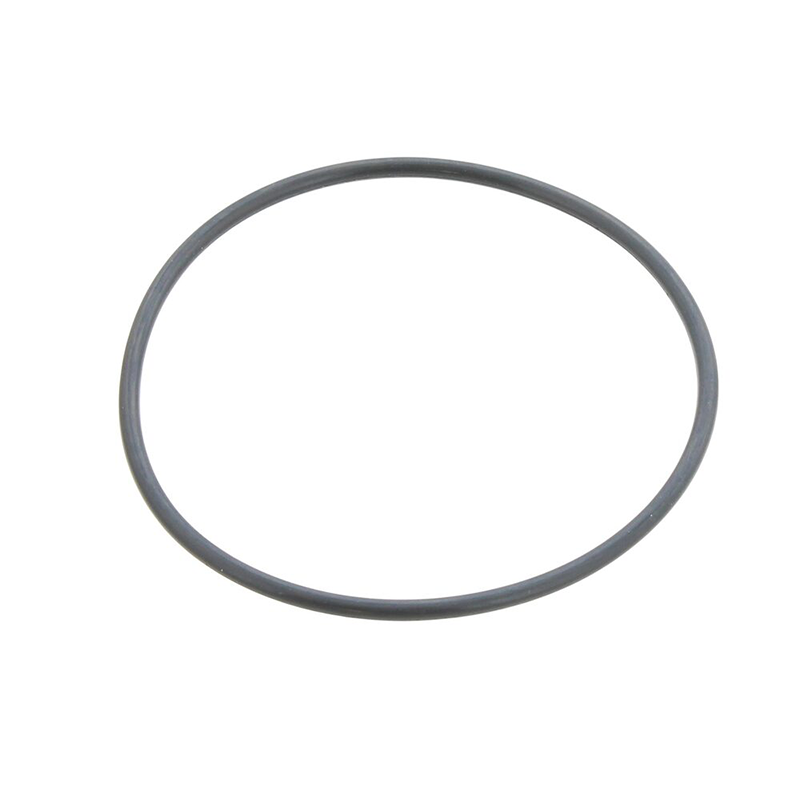 Heatrae Sadia 95611021 Element Plate Assembly Gasket on a white background