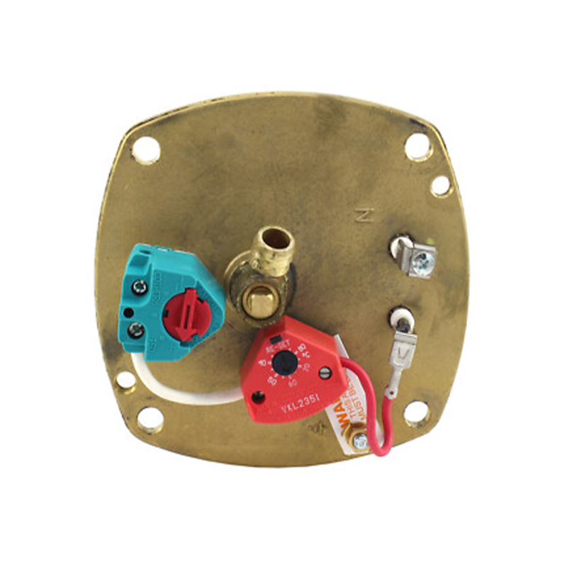 Bottom view of the Heatrae Sadia 95606760 3kW Element Plate Assembly  on a white background