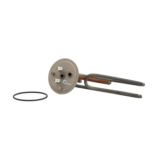 An element assembly with a round gray plastic housing, dual metal plungers, and a separate black O-ring, shown on a plain white background.