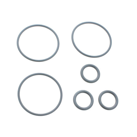Set of various sizes of gray rubber O-rings on a white background