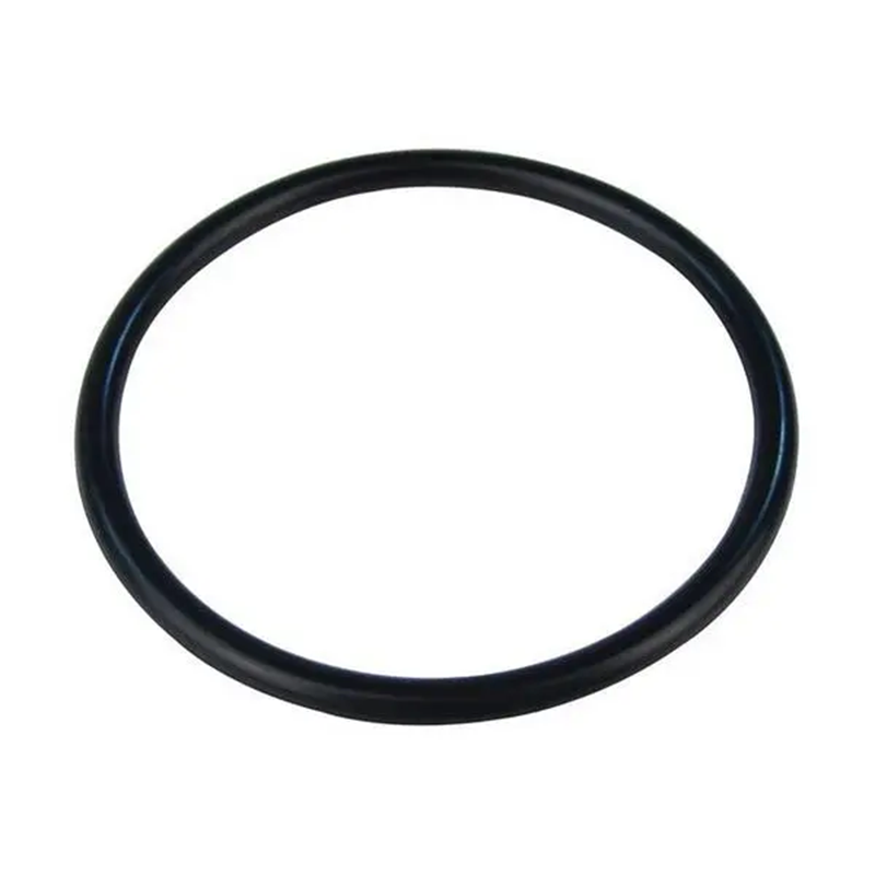 Heatrae Sadia 95611810 O Ring for immersion Heater 0n a white background